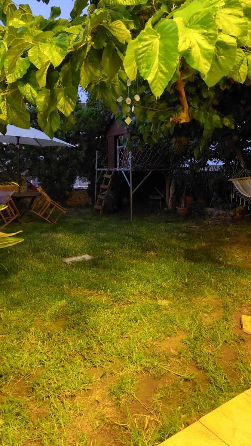 Diamant'S Place With Treehouse Garden Kounoupidhiana Exterior photo